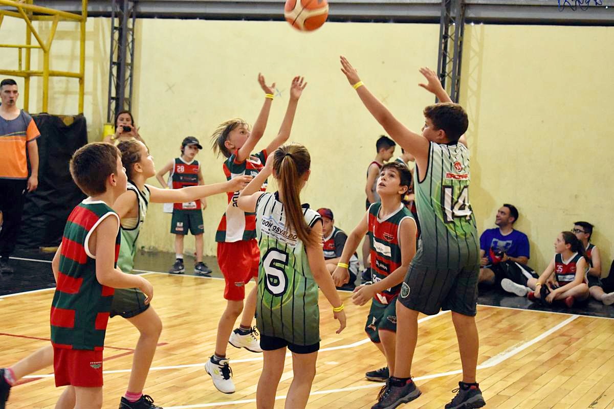 Entrenamiento escolar